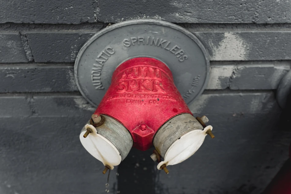 auto fire sprinkler system