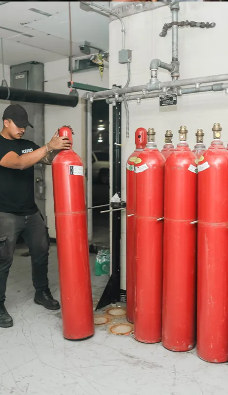 clean agent fire suppression system
