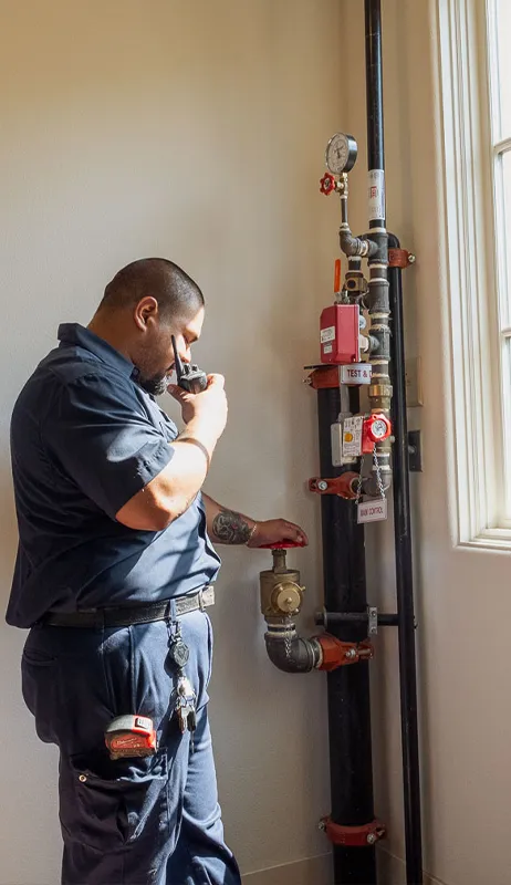 fire sprinkler system