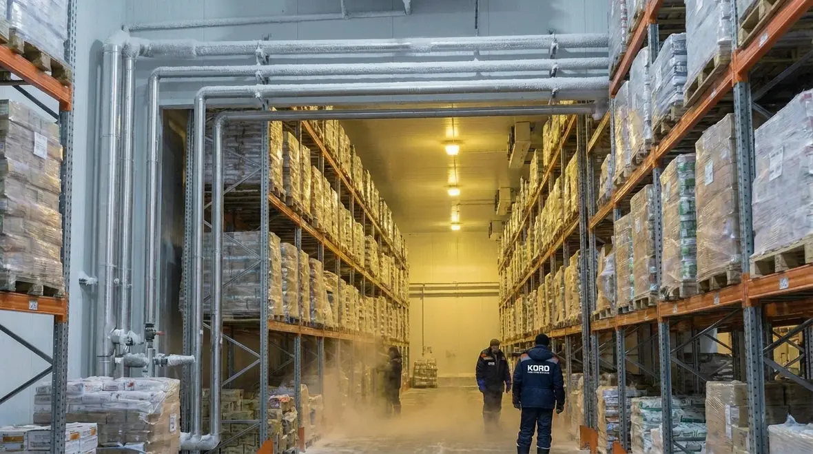 Overhead view of dry pipe fire sprinkler piping in an LA County freezer warehouse