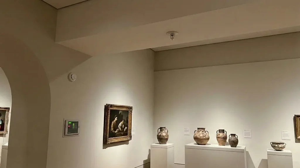 museum fire suppression system