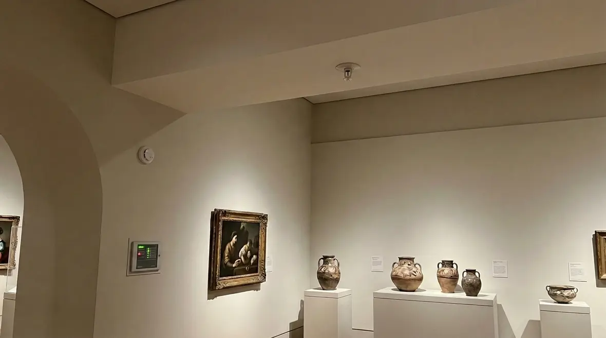 Museum fire suppression system with clean agent protection